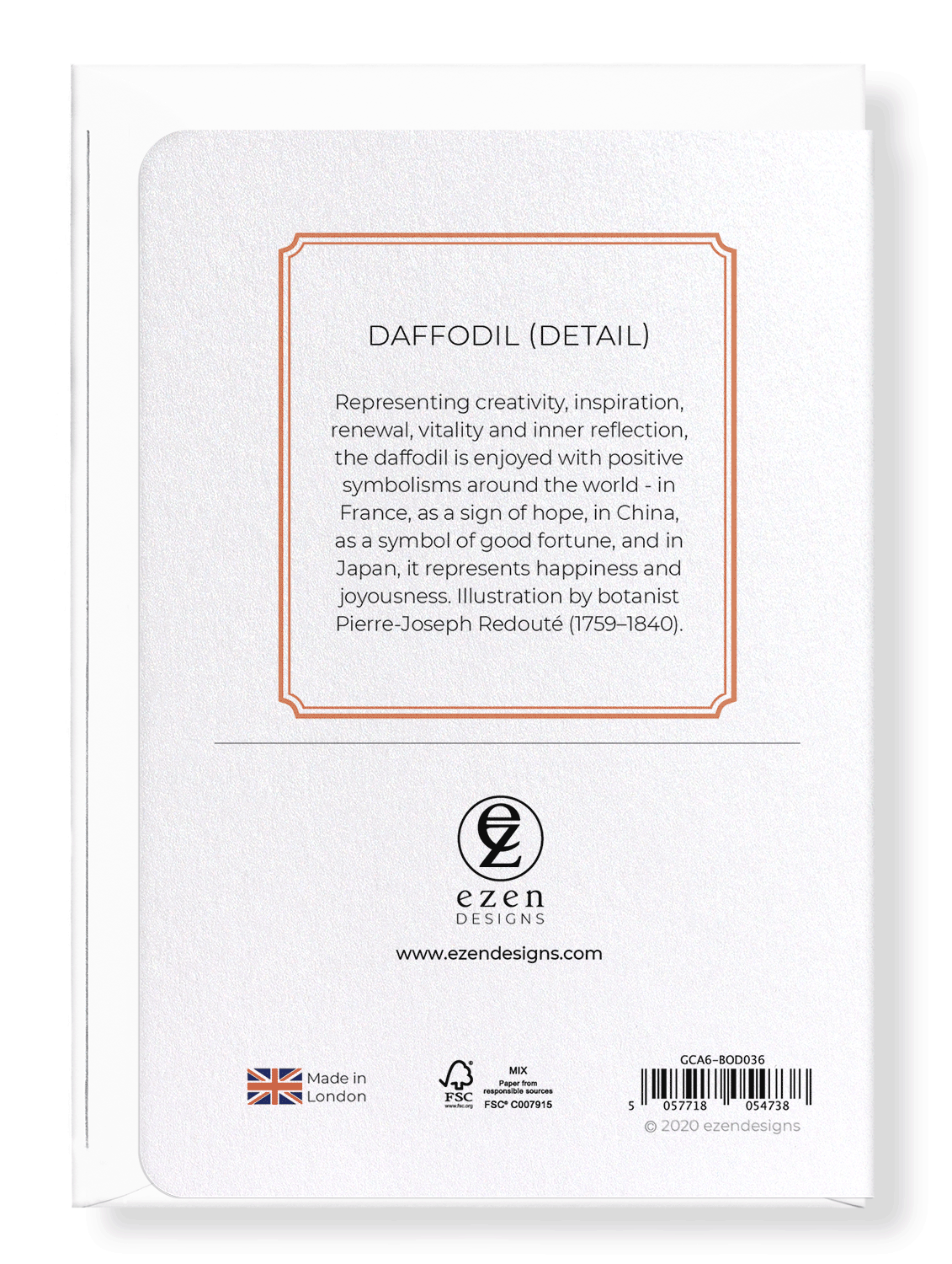 DAFFODIL: Botanical Greeting Card