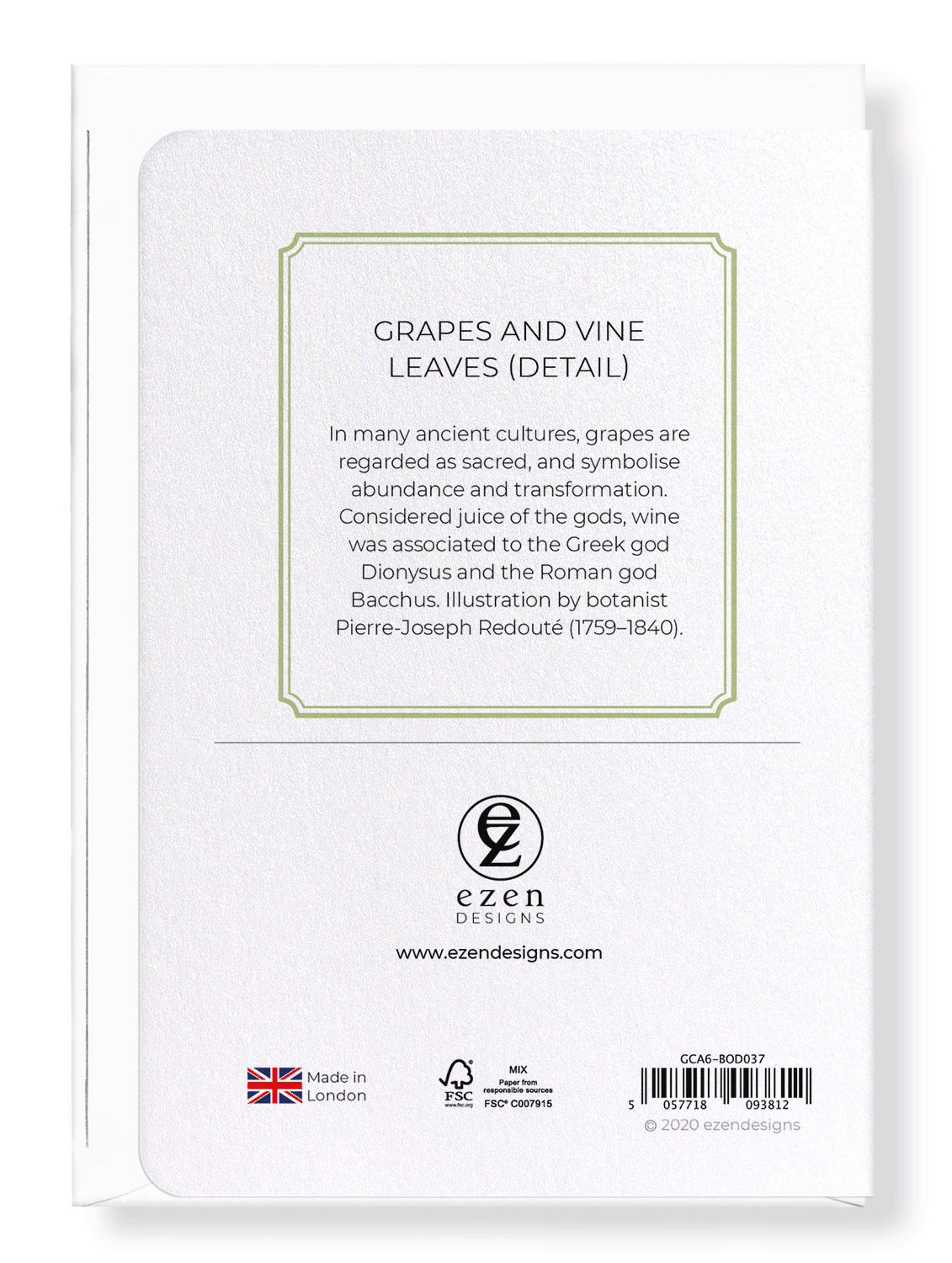 GRAPES AND VINE LEAVES: Botanical Greeting Card