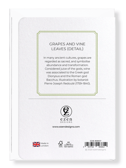 GRAPES AND VINE LEAVES: Botanical Greeting Card