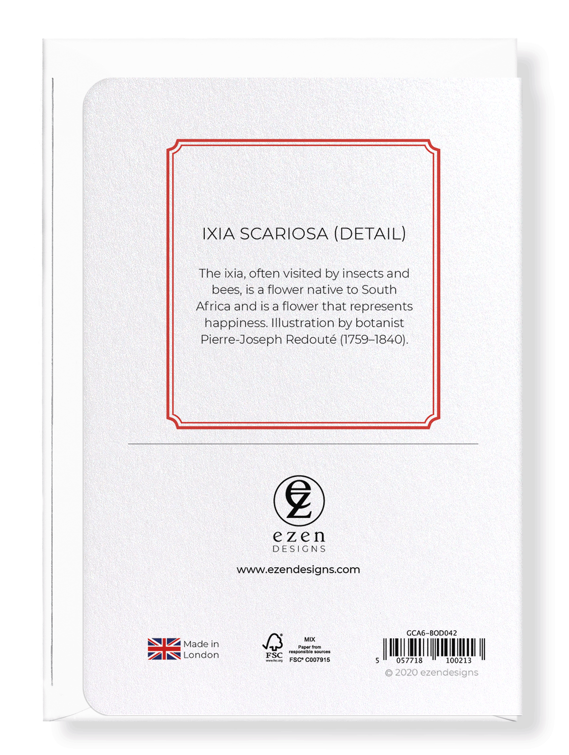 IXIA SCARIOSA: Botanical Greeting Card