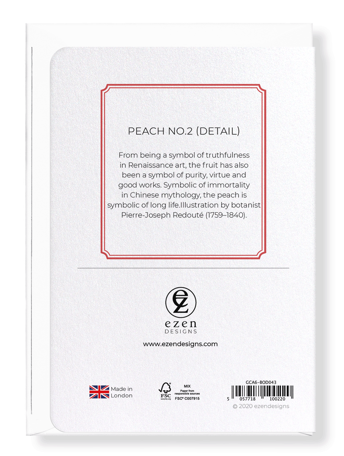 PEACH NO.2: Botanical Greeting Card