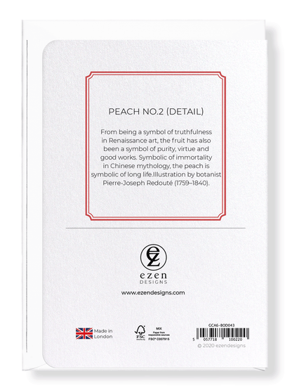 PEACH NO.2: Botanical Greeting Card