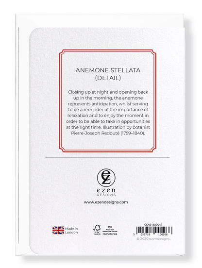 ANEMONE STELLATA: Botanical Greeting Card