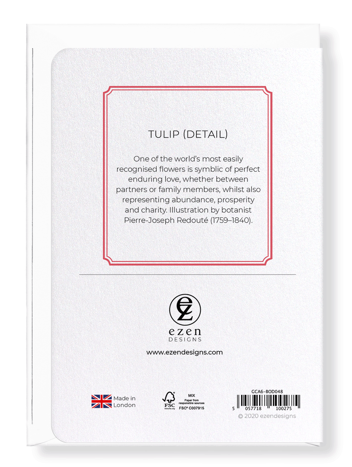 TULIP: Botanical Greeting Card