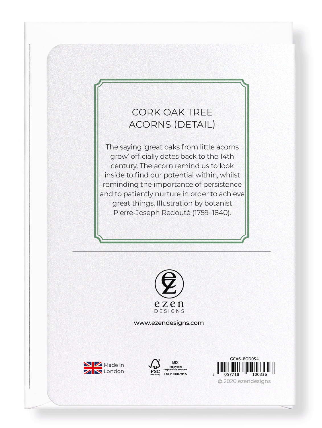 CORK OAK TREE ACORNS: Botanical Greeting Card