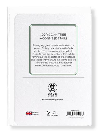 CORK OAK TREE ACORNS: Botanical Greeting Card