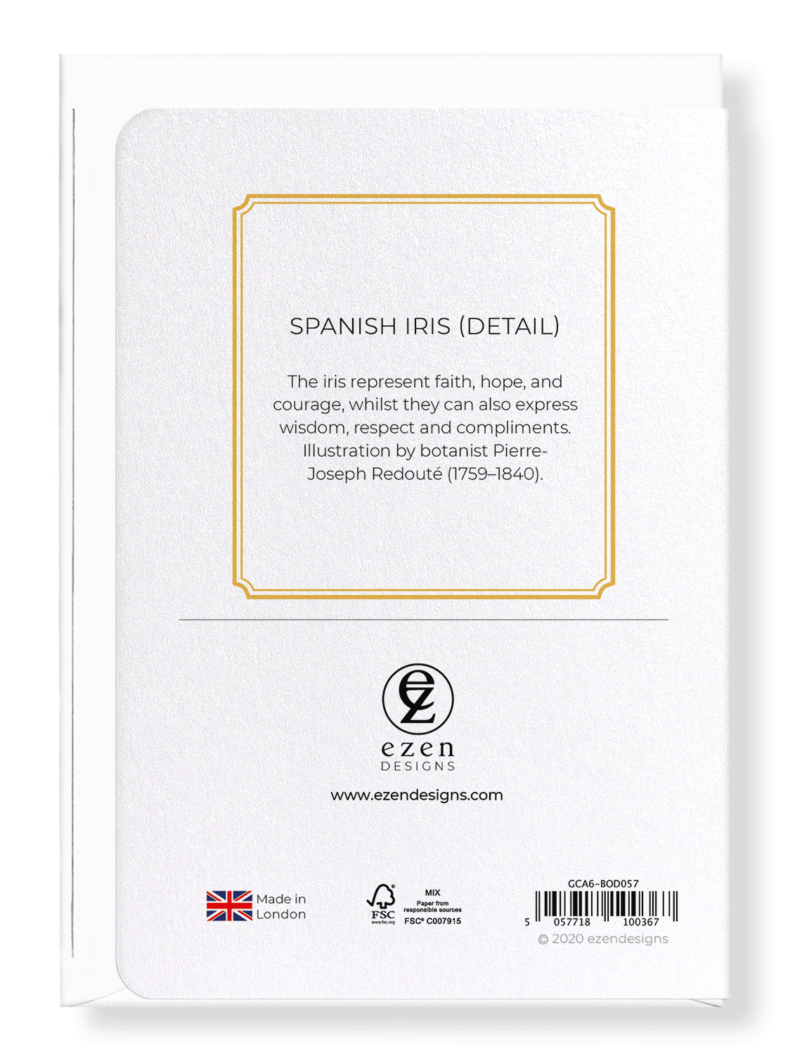 SPANISH IRIS: Botanical Greeting Card