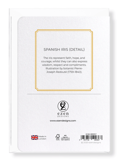 SPANISH IRIS: Botanical Greeting Card