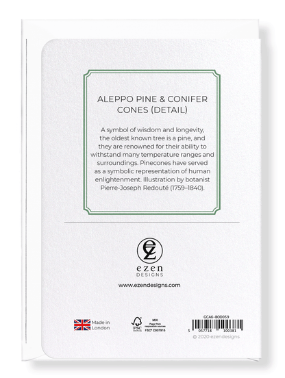 ALEPPO PINE & CONIFER CONES: Botanical Greeting Card