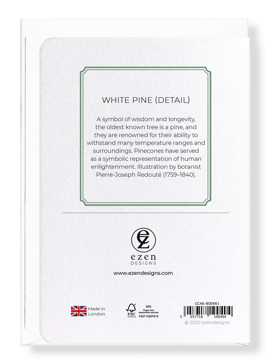WHITE PINE: Botanical Greeting Card