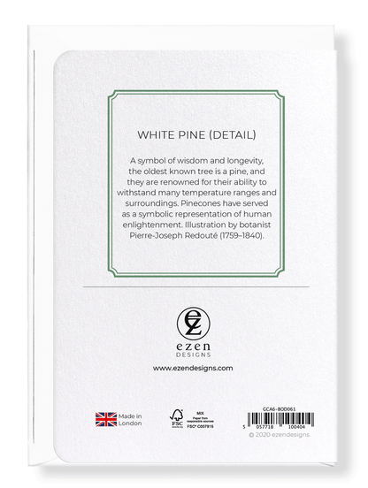 WHITE PINE: Botanical Greeting Card