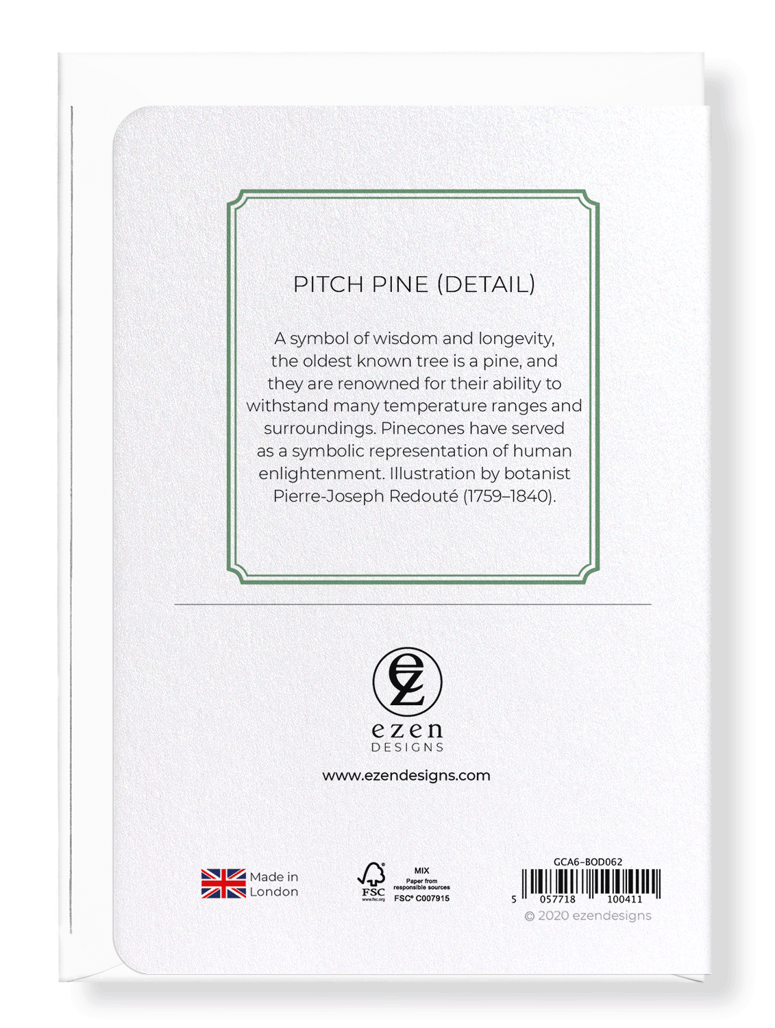 PITCH PINE: Botanical Greeting Card
