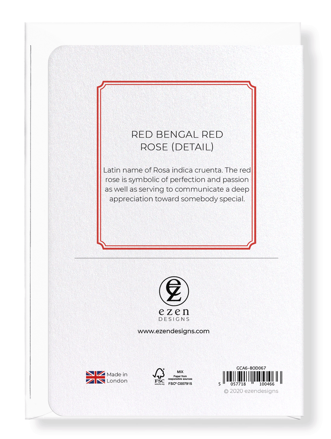 RED BENGAL RED ROSE: Botanical Greeting Card