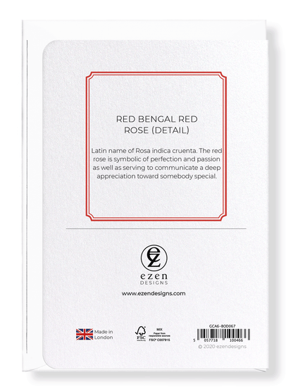 RED BENGAL RED ROSE: Botanical Greeting Card