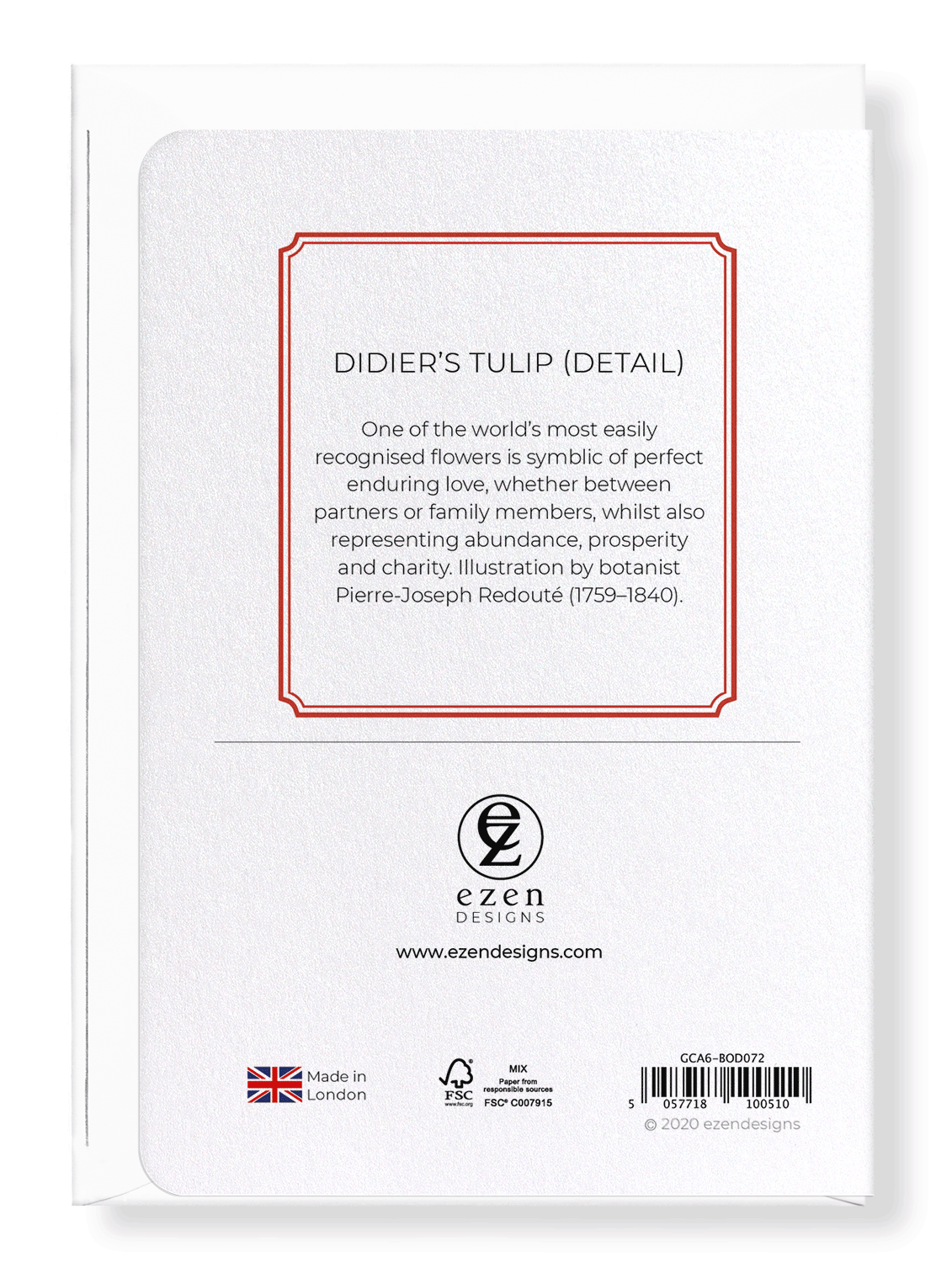 DIDIER'S TULIP: Botanical Greeting Card