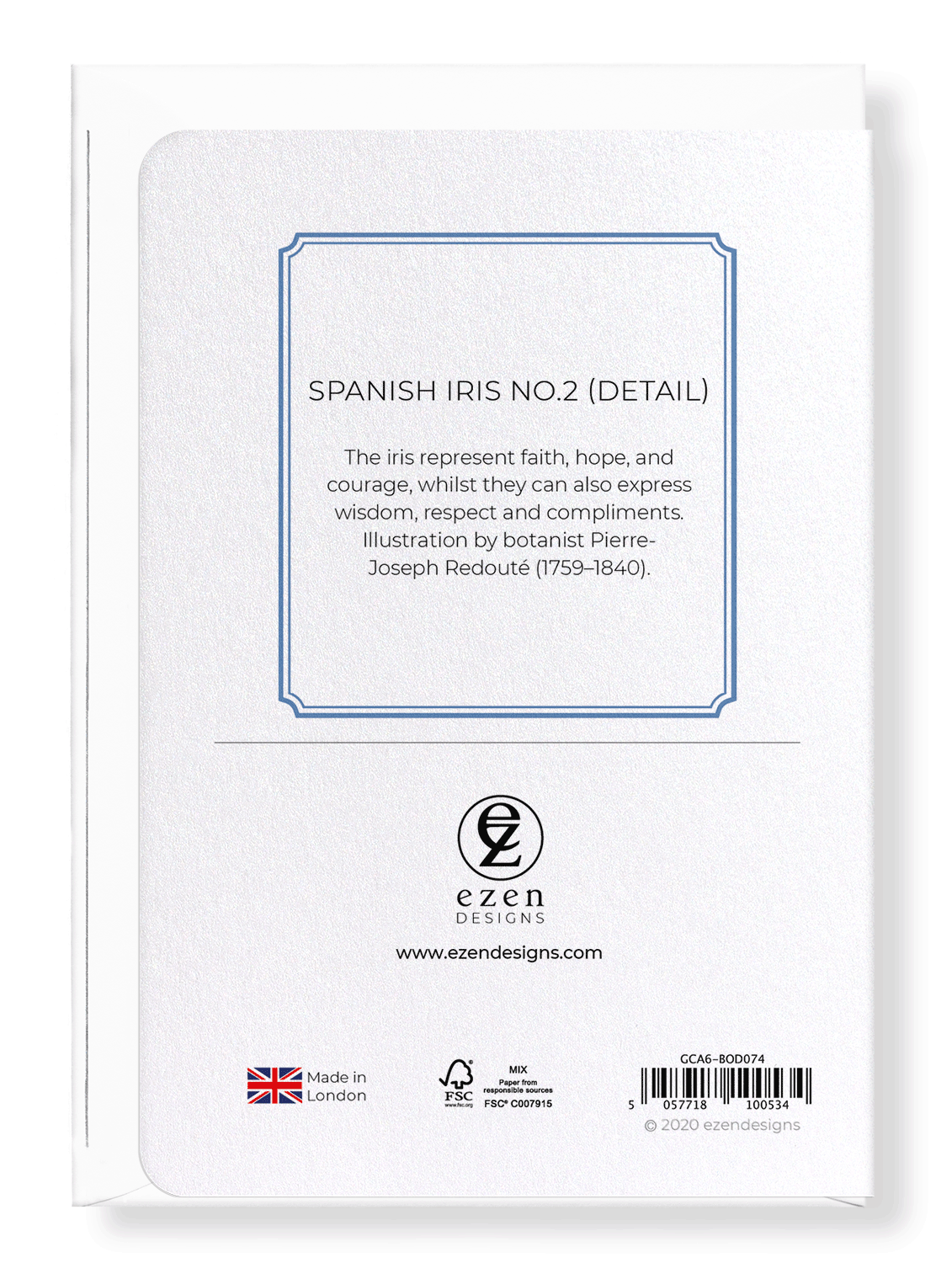 SPANISH IRIS NO.2: Botanical Greeting Card