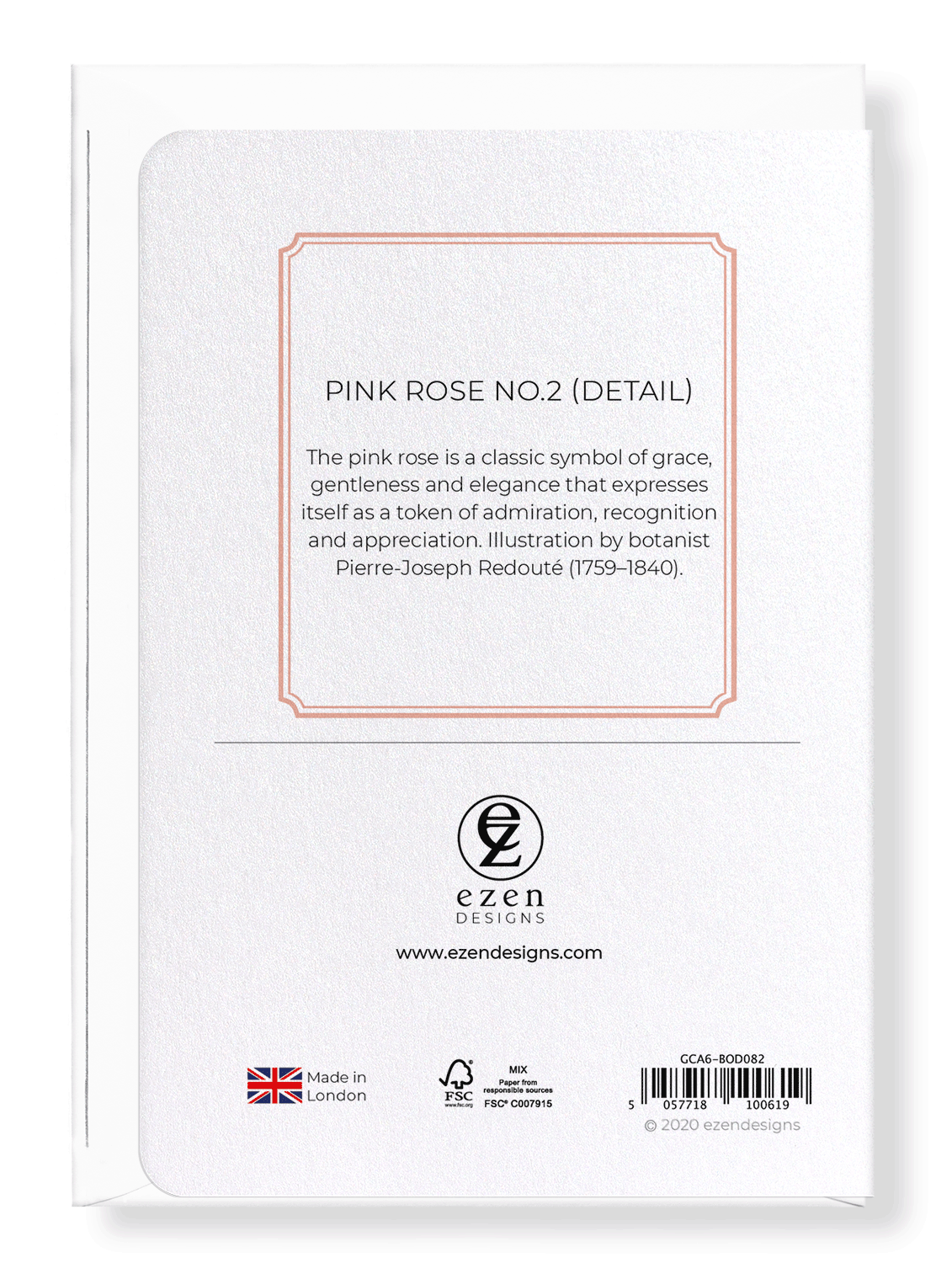 PINK ROSE NO.2: Botanical Greeting Card