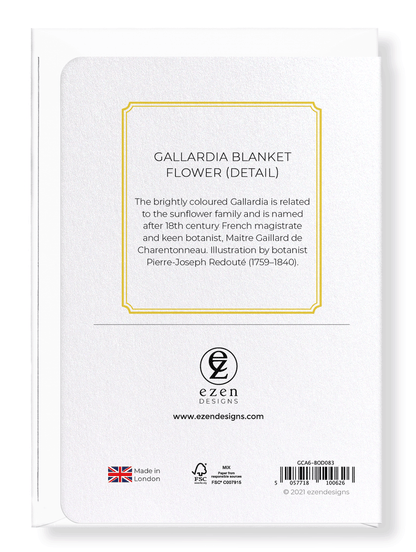 GALLARDIA BLANKET FLOWER: Botanical Greeting Card