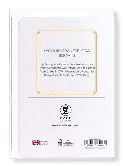 LYCHNIS GRANDIFLORA: Botanical Greeting Card