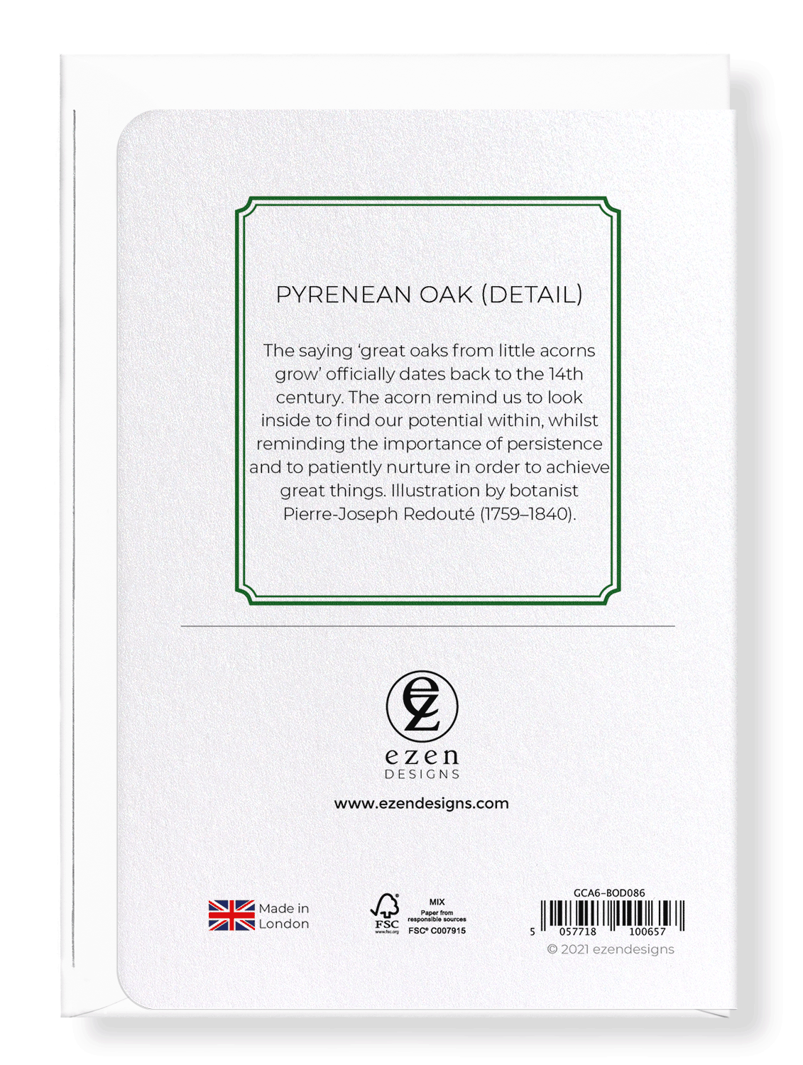PYRENEAN OAK: Botanical Greeting Card