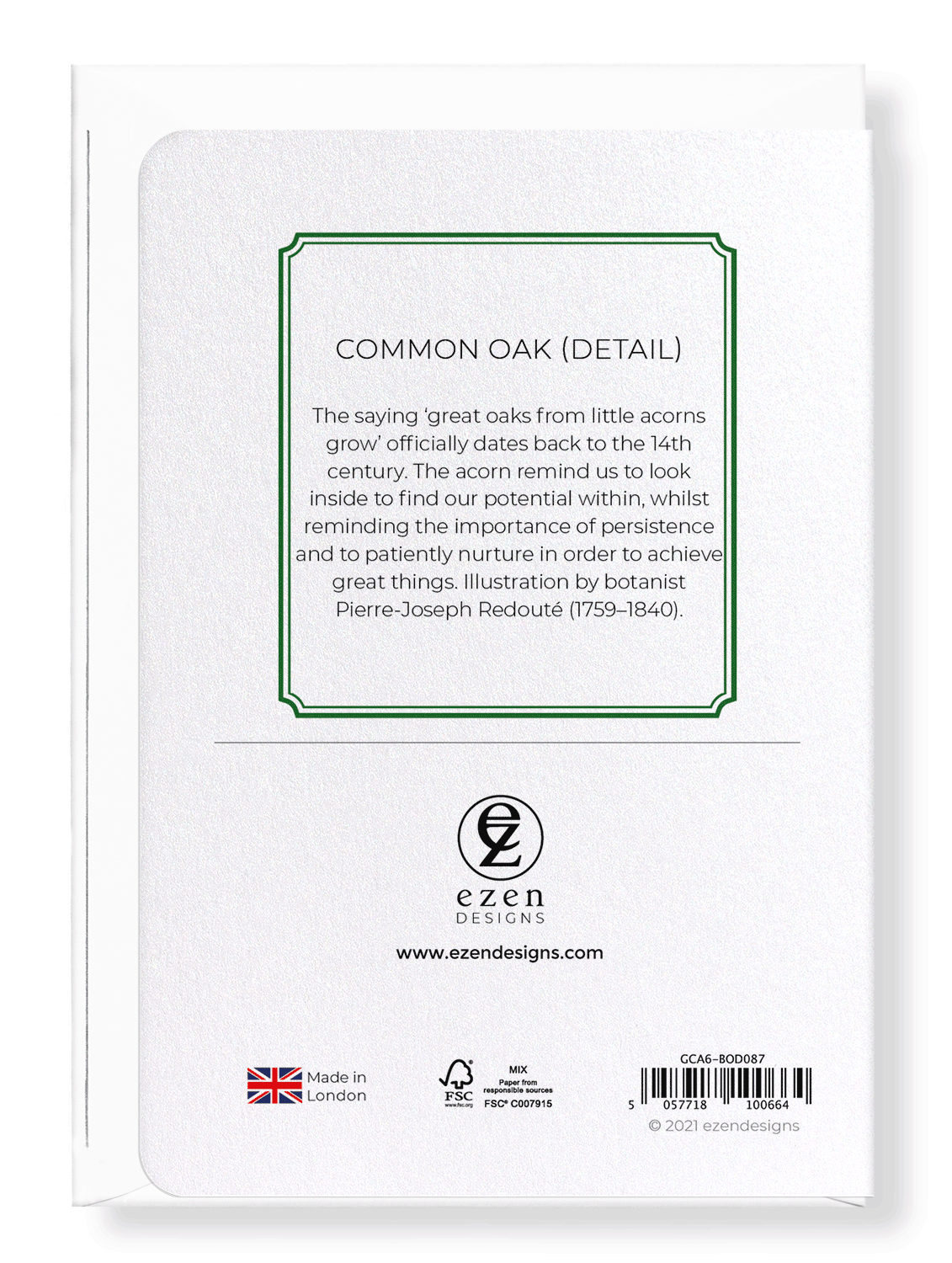 COMMON OAK: Botanical Greeting Card