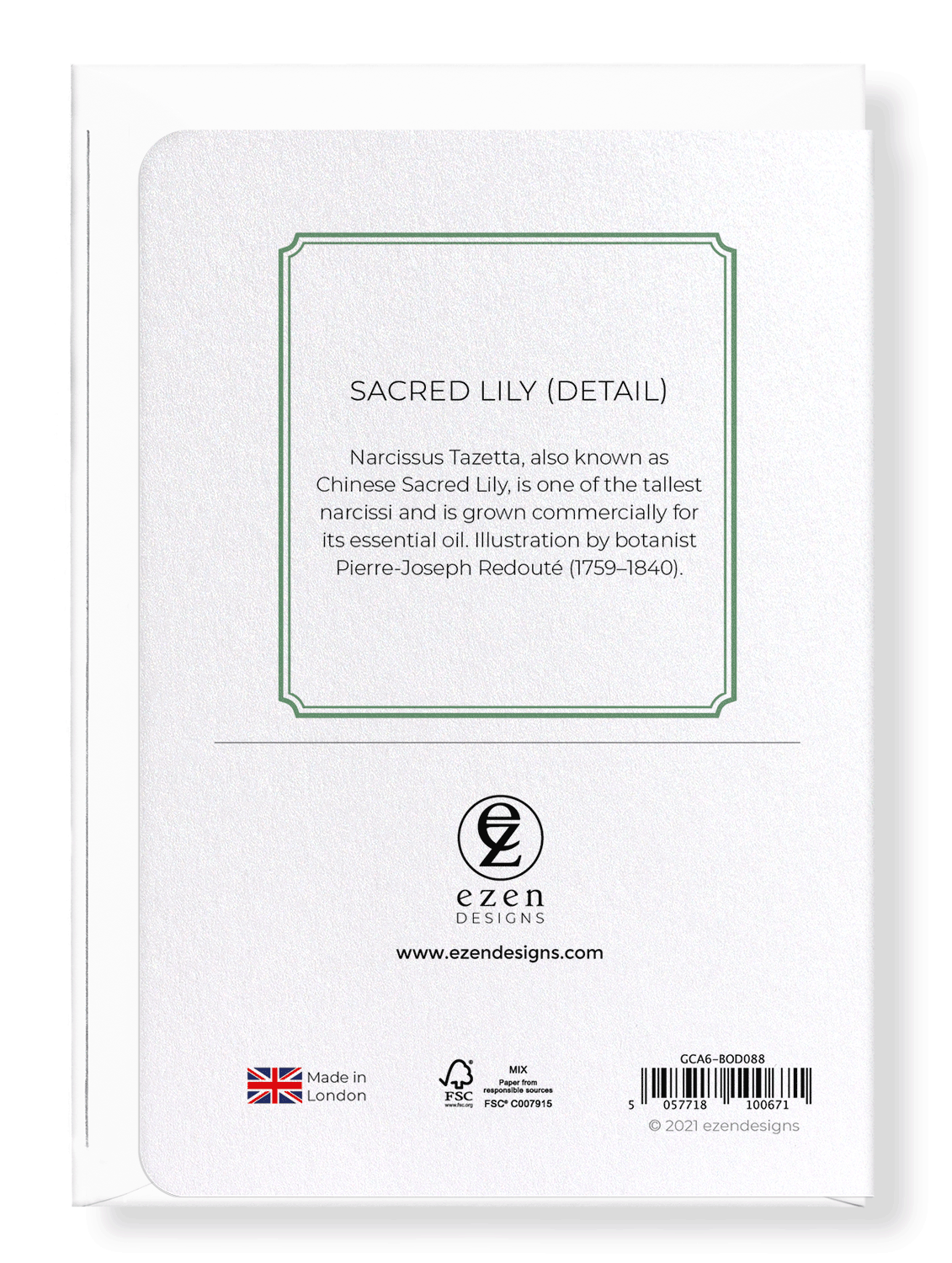 SACRED LILY: Botanical Greeting Card