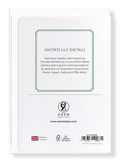 SACRED LILY: Botanical Greeting Card