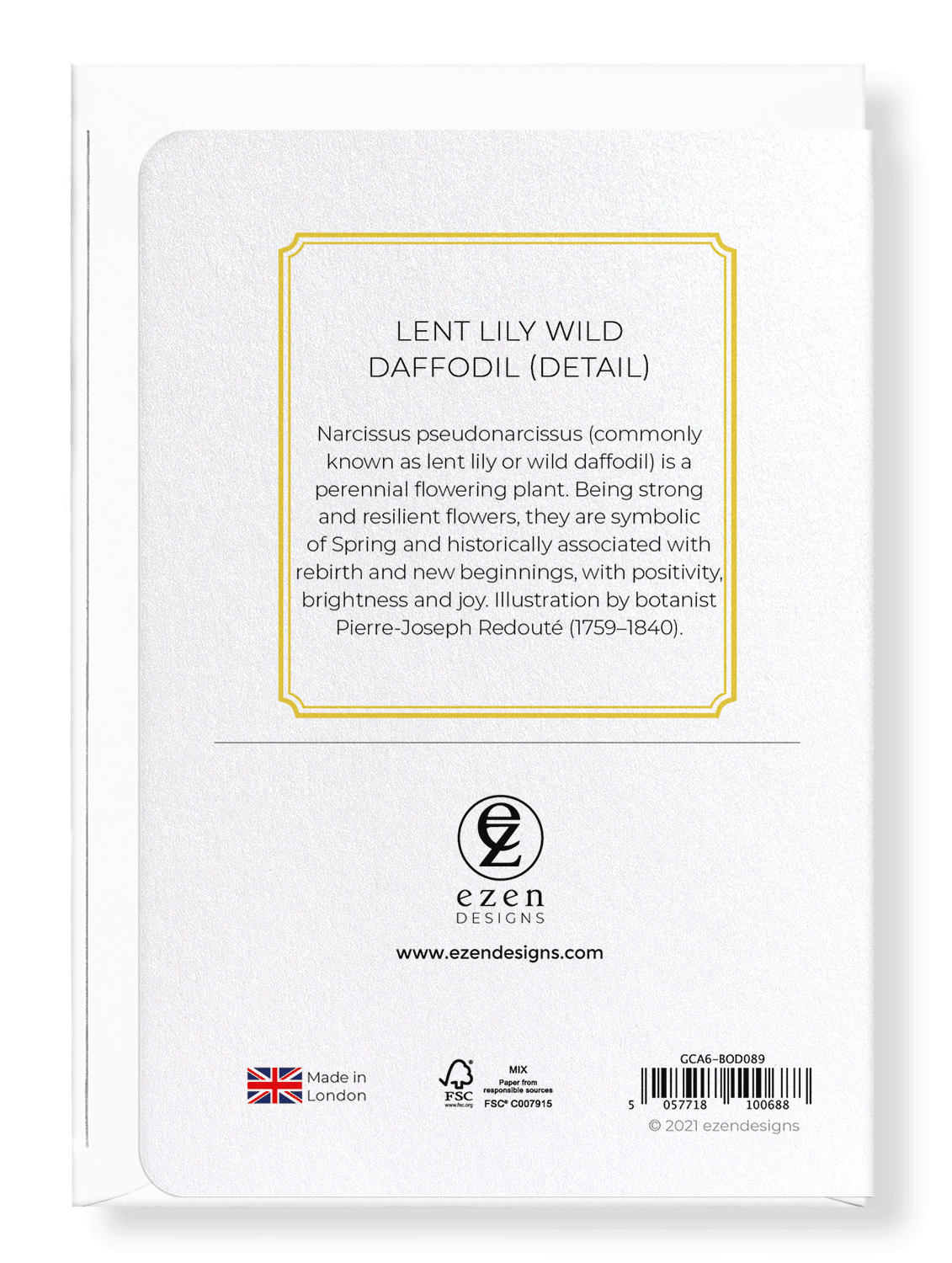 LENT LILY WILD DAFFODIL: Botanical Greeting Card