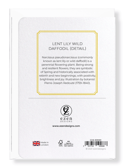 LENT LILY WILD DAFFODIL: Botanical Greeting Card