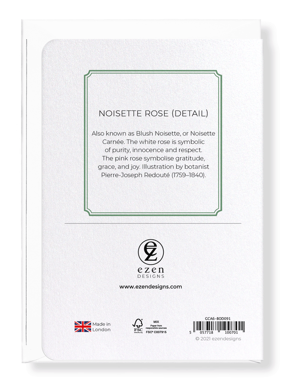 NOISETTE ROSE: Botanical Greeting Card