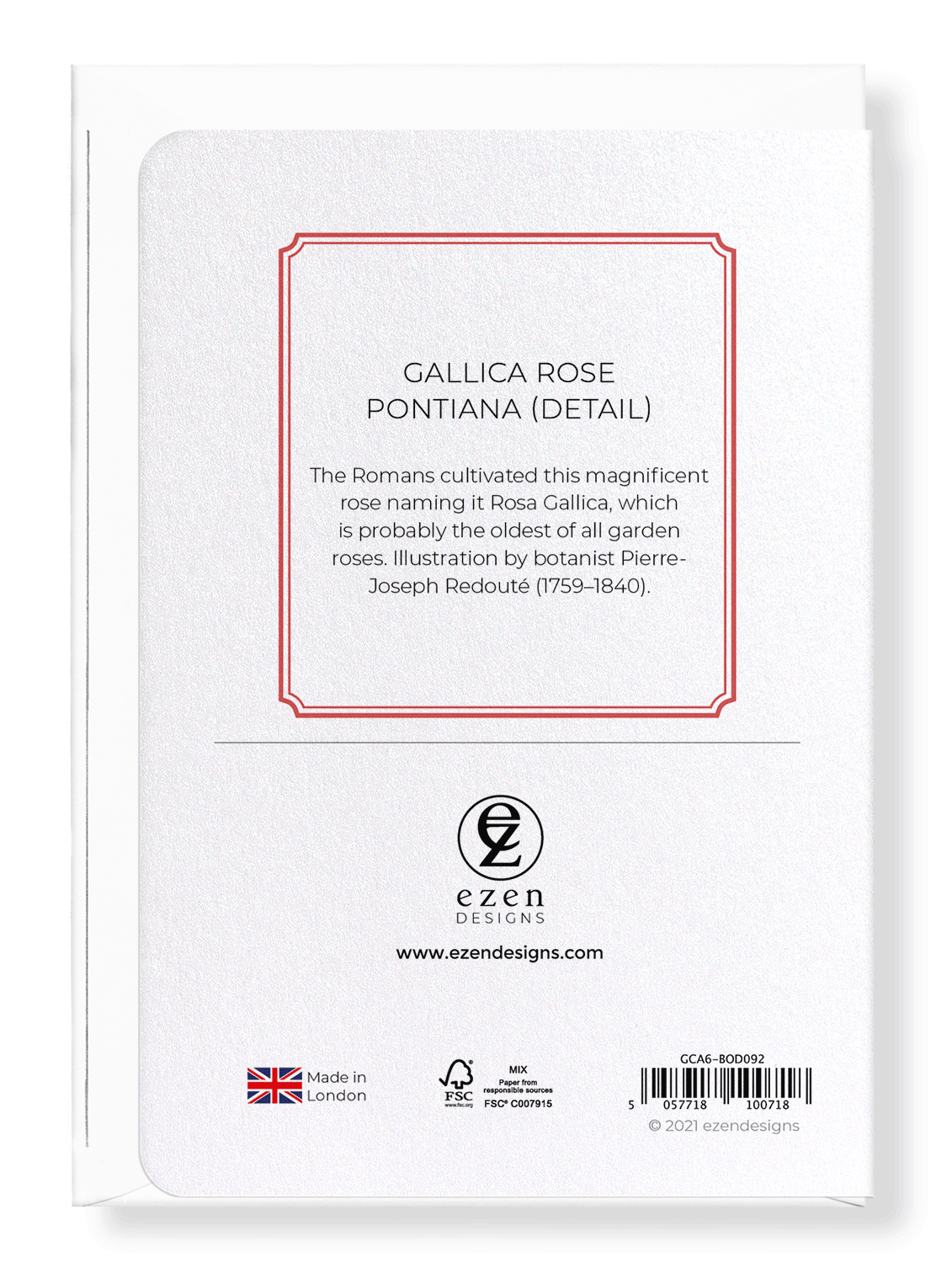 GALLICA ROSE PONTIANA: Botanical Greeting Card