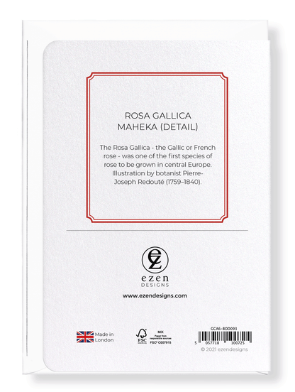 ROSA GALLICA MAHEKA: Botanical Greeting Card