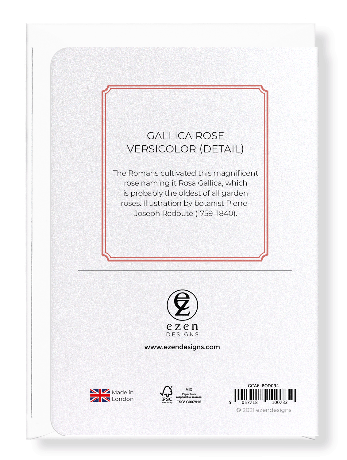 GALLICA ROSE VERSICOLOR: Botanical Greeting Card