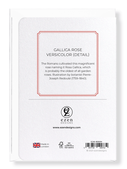 GALLICA ROSE VERSICOLOR: Botanical Greeting Card