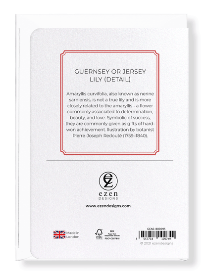 GUERNSEY OR JERSEY LILY: Botanical Greeting Card