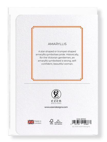 Ezen Designs - Amaryllis - Greeting Card - Back
