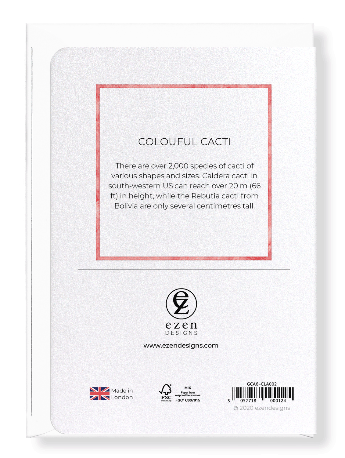 Ezen Designs - Colourful cacti - Greeting Card - Back