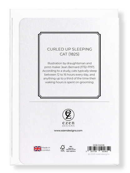 Ezen Designs - Curled up sleeping cat (1825) - Greeting Card - Back