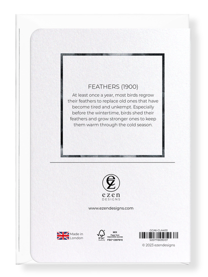 Ezen Designs - Feathers (1900) - Greeting Card - Back