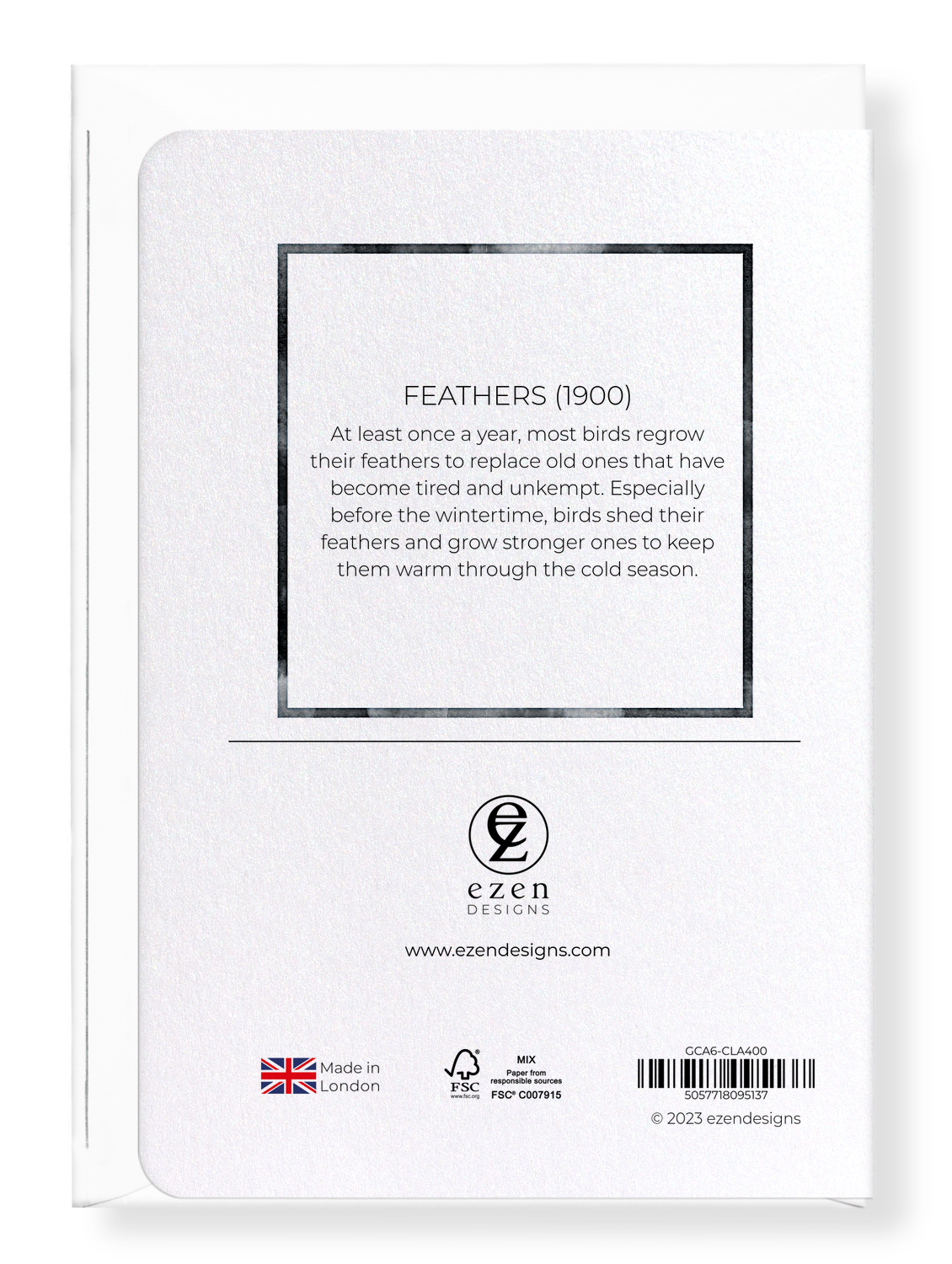 Ezen Designs - Feathers (1900) - Greeting Card - Back
