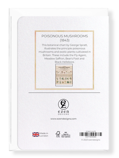 Ezen Designs - Poisonous Mushrooms (1843) - Greeting Card - Back
