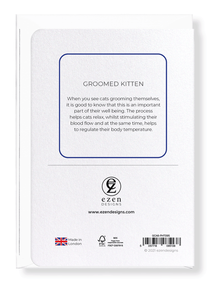 Ezen Designs - Groomed kitten - Greeting Card - Back