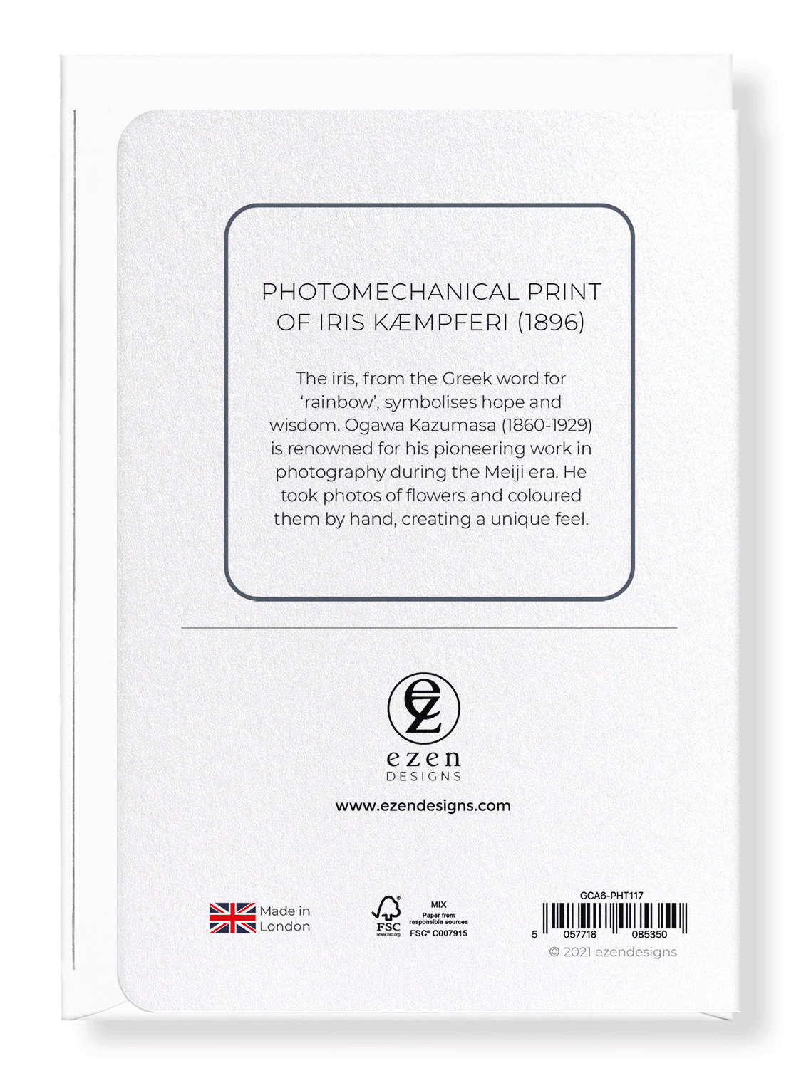 Ezen Designs - Photomechanical print of Iris Kæmpferi (1896) - Greeting Card - Back