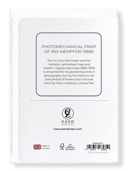 Ezen Designs - Photomechanical print of Iris Kæmpferi (1896) - Greeting Card - Back