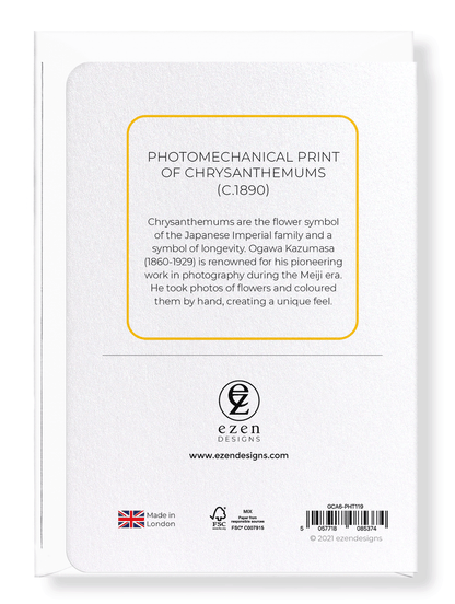 Ezen Designs - Photomechanical print of Chrysanthemums (c.1890) - Greeting Card - Back