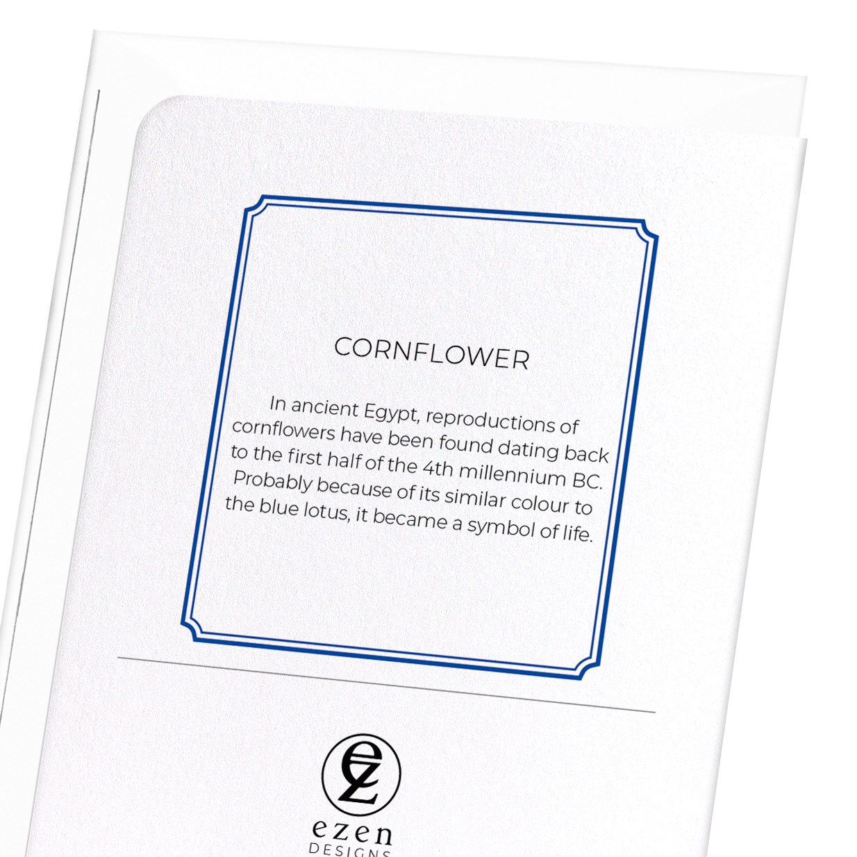 CORNFLOWER: Botanical Greeting Card
