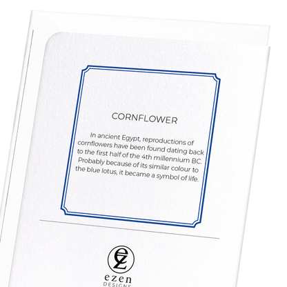 CORNFLOWER: Botanical Greeting Card