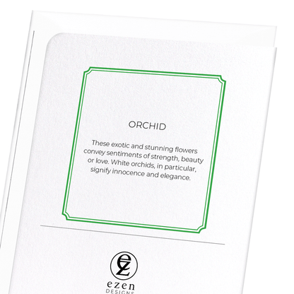 ORCHID: Botanical Greeting Card