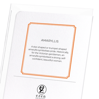 AMARYLLIS: Botanical Greeting Card