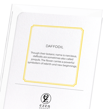 DAFFODIL: Botanical Greeting Card